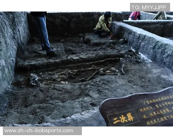 苏维埃与莫路军的对抗与较量：历史的回顾与未来的启示